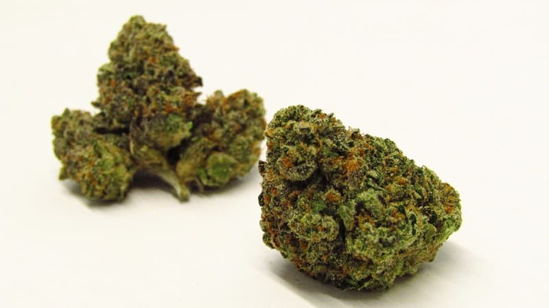 Jealousy cannabis strain, community photo 2