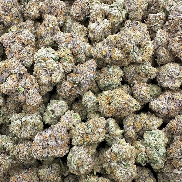 Jealousy cannabis strain, community photo 4
