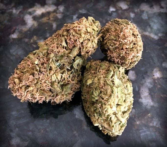 Jedi Kush cannabis strain, community photo 3