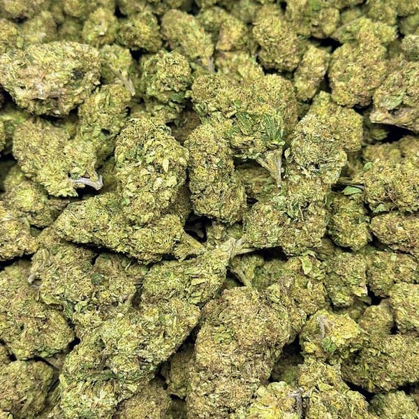 Jelly Donut cannabis strain, community photo 2