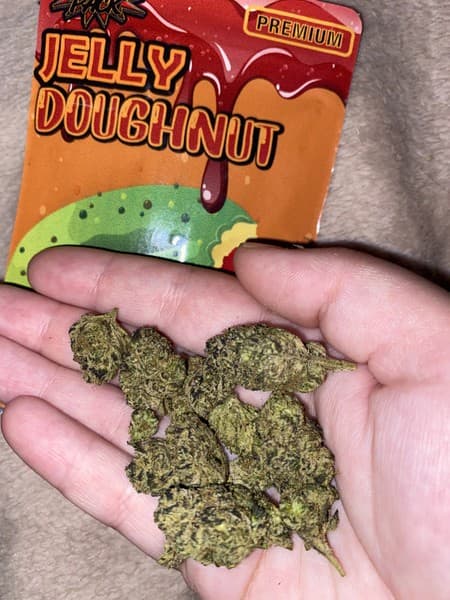 Jelly Donut cannabis strain, community photo 4