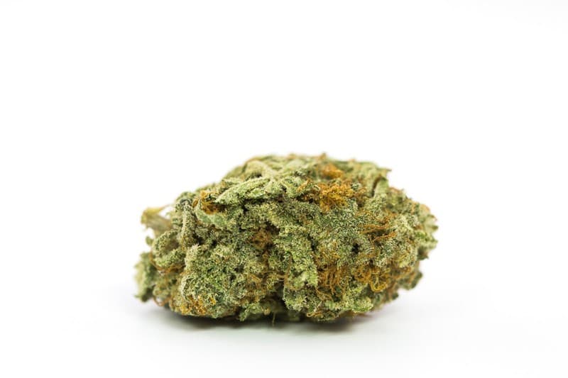 Jelly Donut cannabis strain, community photo 5