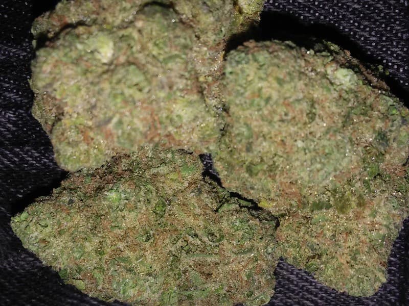 Jesus OG cannabis strain, community photo 1