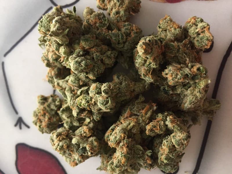 Jesus OG cannabis strain, community photo 2
