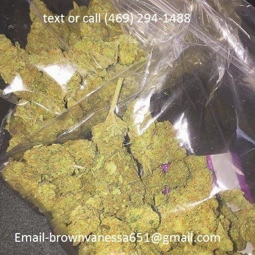 Jesus OG cannabis strain, community photo 5