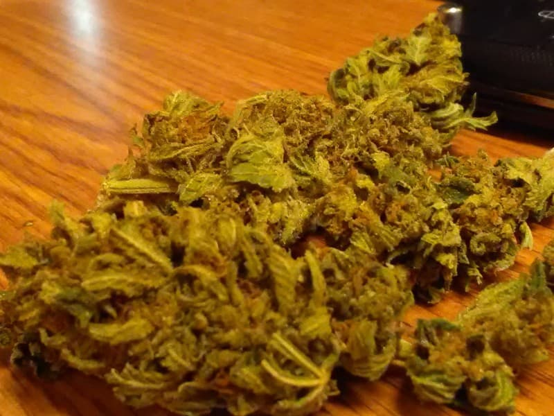 Jesus OG cannabis strain, community photo 6