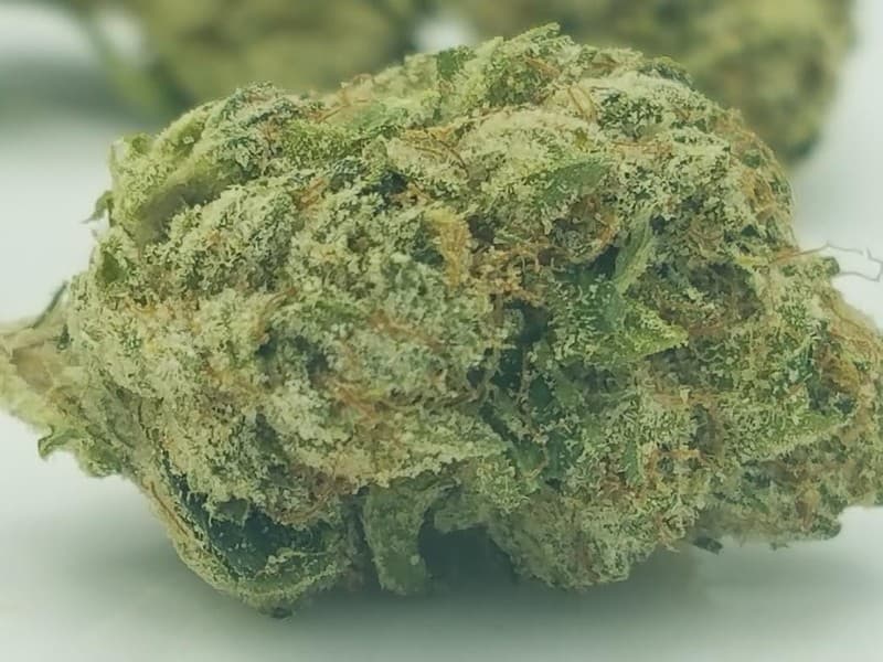 Jet Fuel cannabis strain, community photo 10