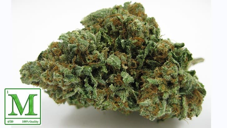 Jet Fuel cannabis strain, community photo 2
