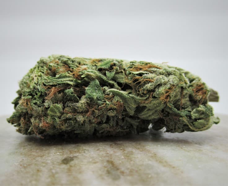 Jet Fuel cannabis strain, community photo 3