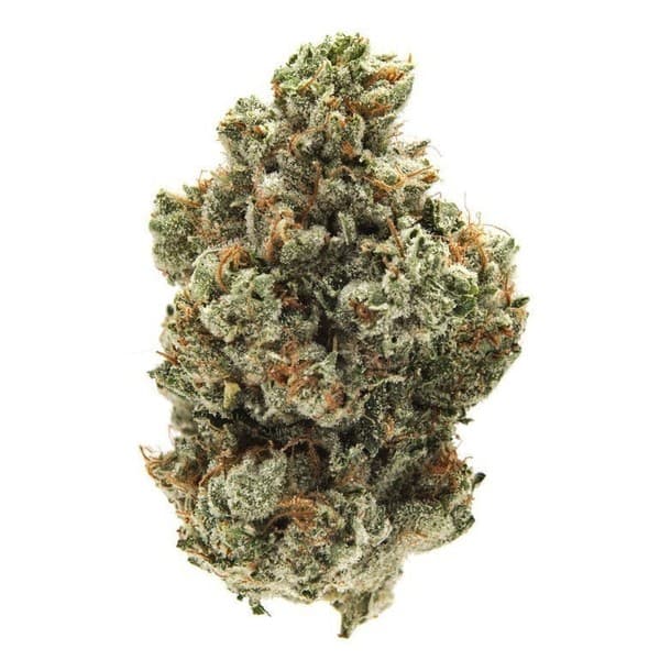 Jet Fuel cannabis strain, community photo 4