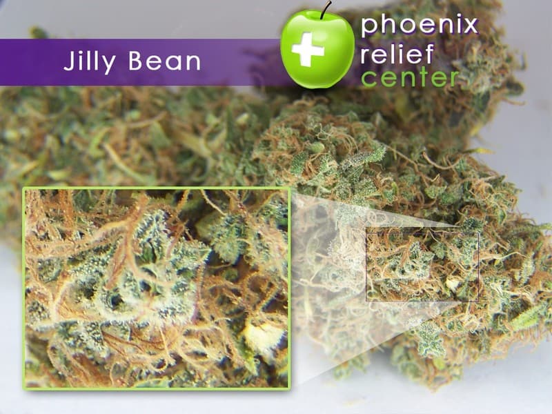 Jillybean cannabis strain, community photo 5