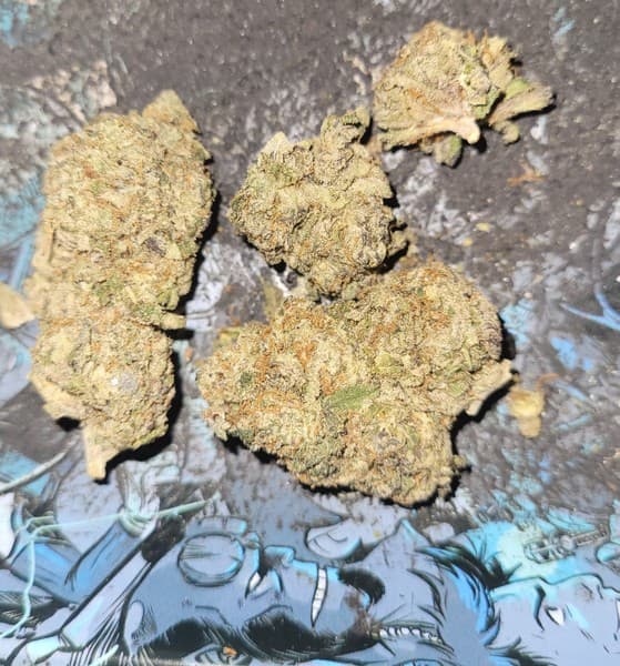 Jokerz cannabis strain, community photo 1
