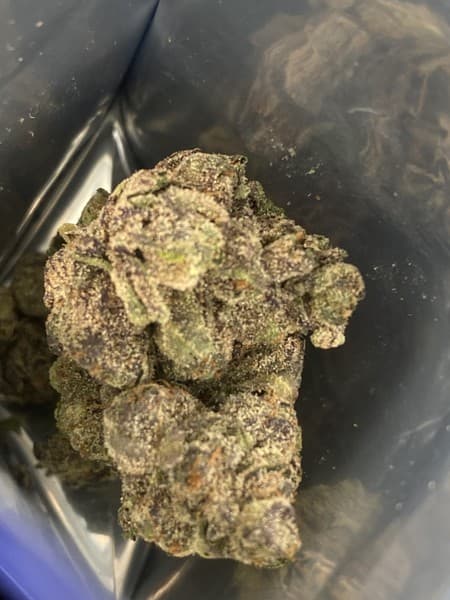 Jokerz cannabis strain, community photo 3