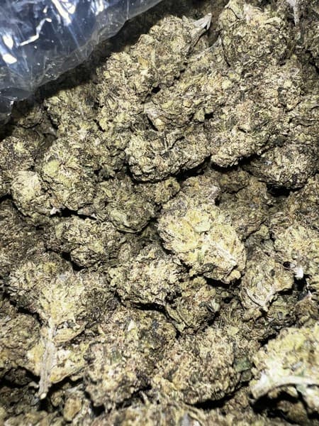 Jokerz cannabis strain, community photo 4