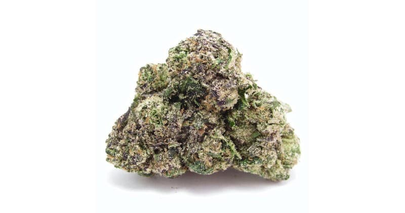 Jokerz cannabis strain, community photo 5