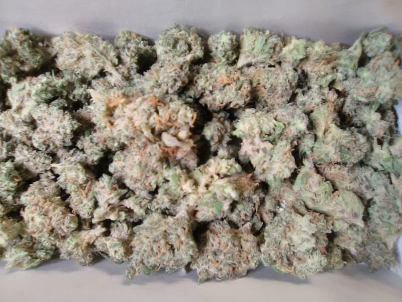 Juggernaut cannabis strain, community photo 2