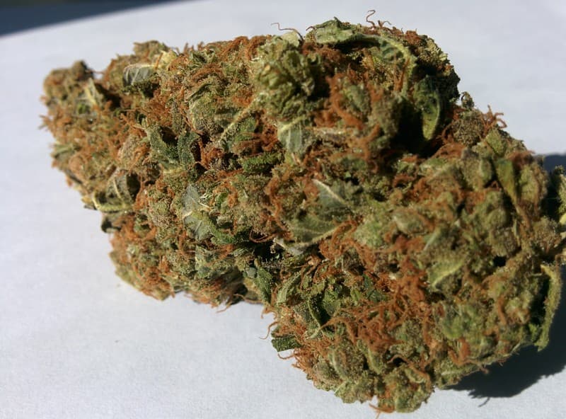 Juicy Fruit cannabis strain, community photo 1