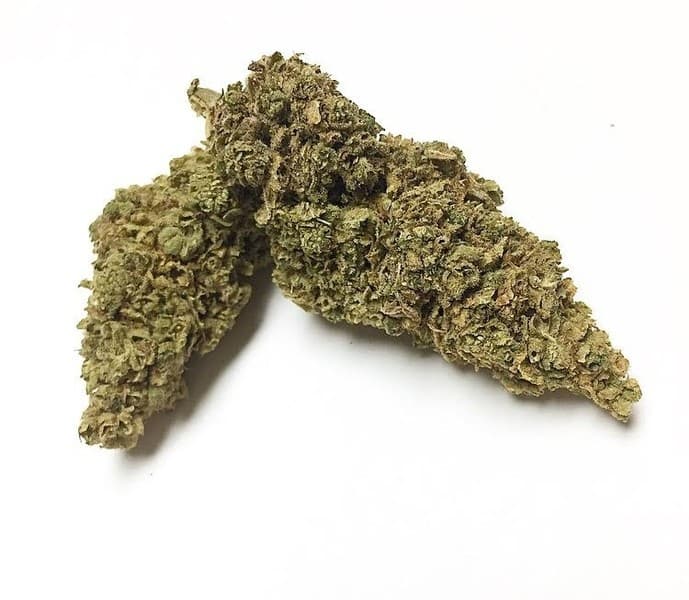 Juicy Fruit cannabis strain, community photo 2