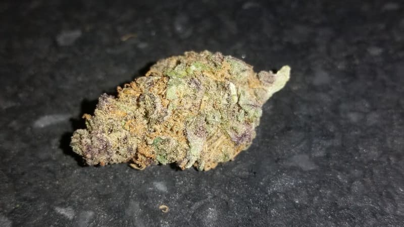 Juicy Fruit cannabis strain, community photo 4
