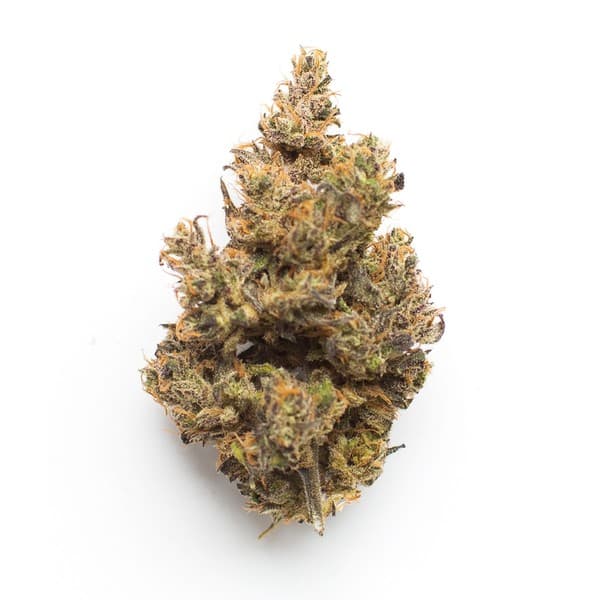 Jungle Pie cannabis strain, community photo 4