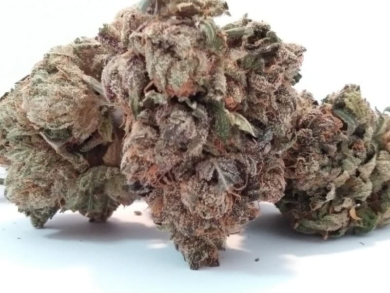 Jupiter OG cannabis strain, community photo 1