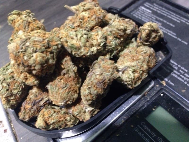 Jupiter OG cannabis strain, community photo 2