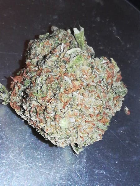 Kimbo Kush cannabis strain, community photo 1