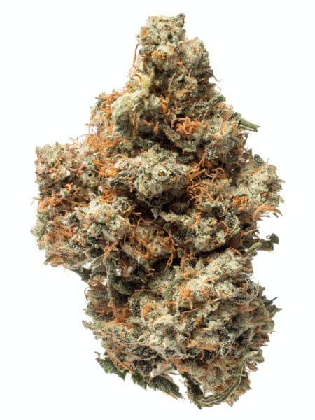 King Louis cannabis strain, community photo 1