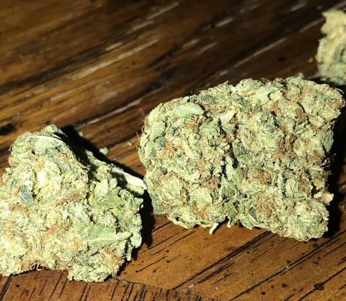 King Louis cannabis strain, community photo 6