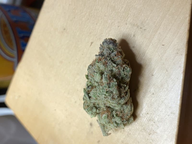 Kosher Dawg cannabis strain, community photo 2