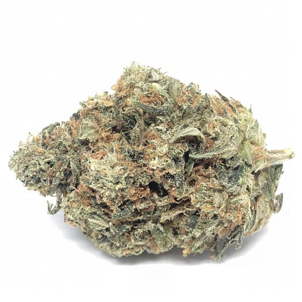 Kosher Kush cannabis strain, community photo 1