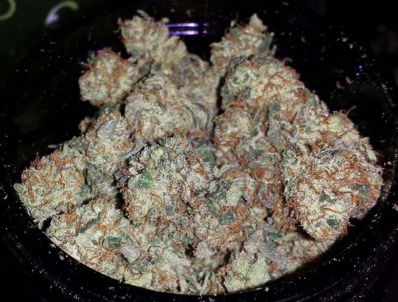 Kosher Kush cannabis strain, community photo 3