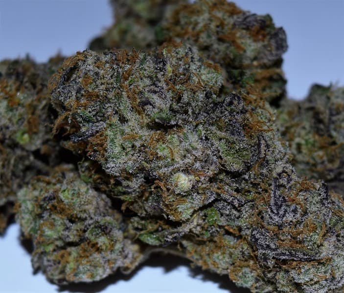 Kryptonite cannabis strain, community photo 5
