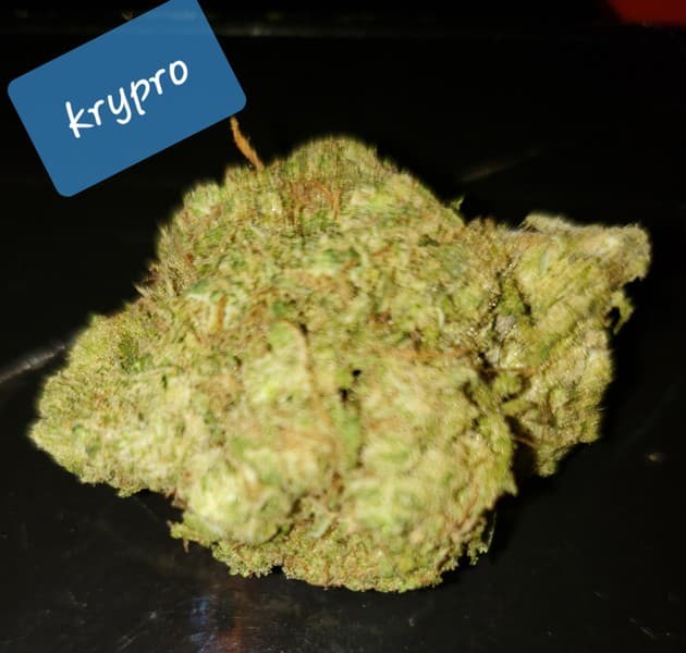 Kryptonite cannabis strain, community photo 6