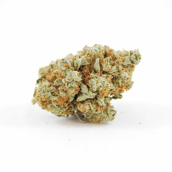 Kushberry cannabis strain, community photo 4