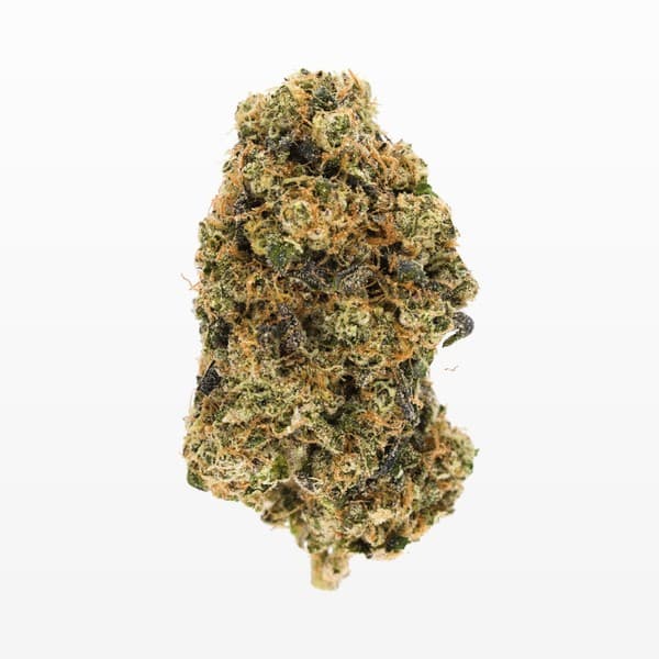 LA Kush cannabis strain, community photo 1