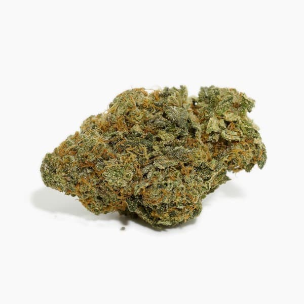 LA Kush cannabis strain, community photo 4