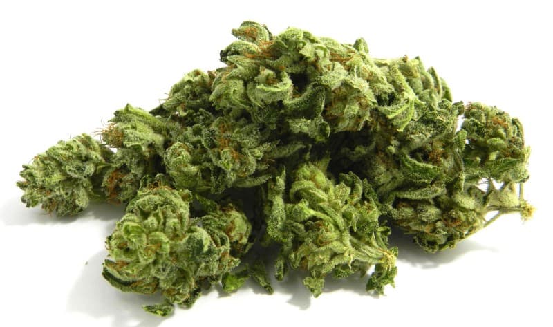 LA OG cannabis strain, community photo 1