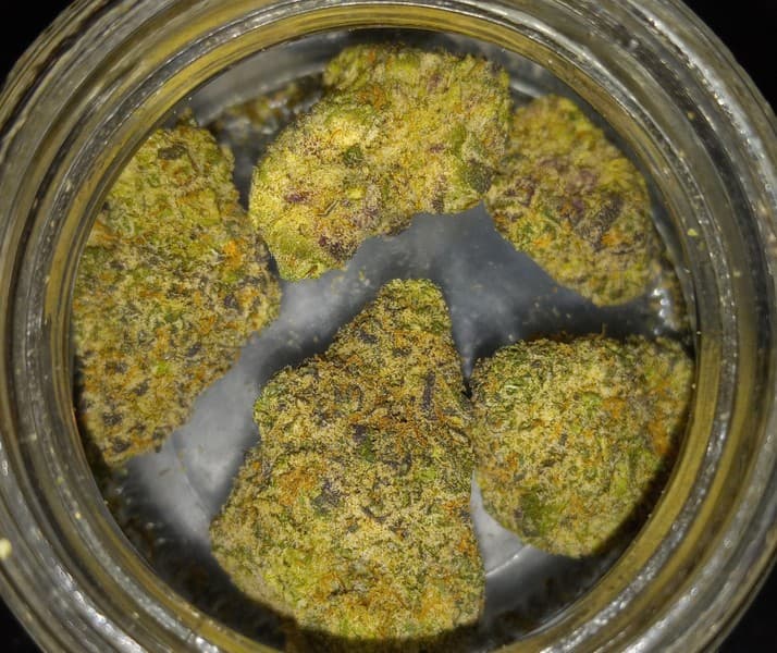 Laffy Taffy cannabis strain, community photo 1