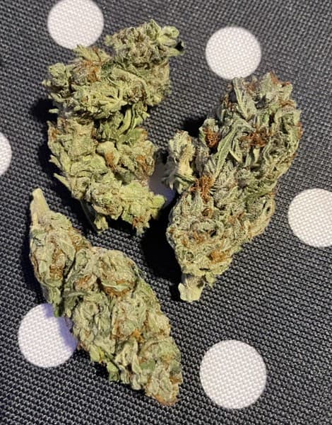 Laffy Taffy cannabis strain, community photo 2