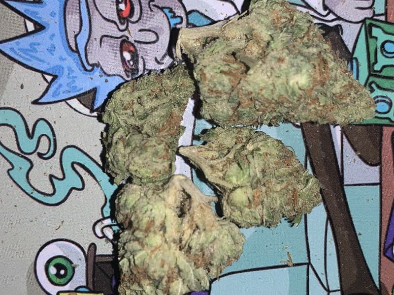Laffy Taffy cannabis strain, community photo 3