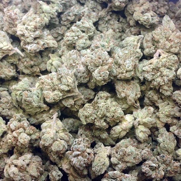 Larry OG cannabis strain, community photo 1