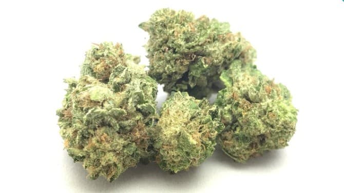 Larry OG cannabis strain, community photo 10