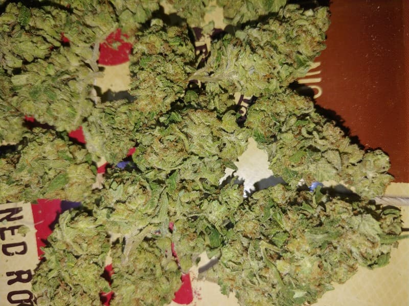 Larry OG cannabis strain, community photo 11