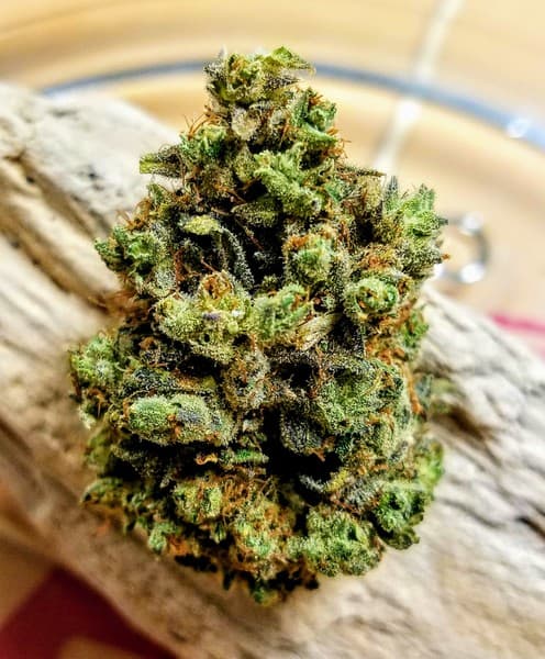 Larry OG cannabis strain, community photo 2