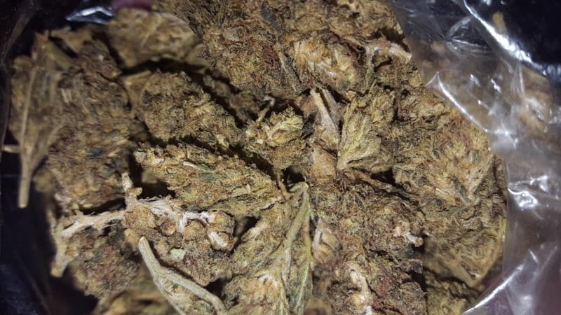 Larry OG cannabis strain, community photo 4
