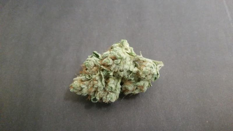 Larry OG cannabis strain, community photo 5