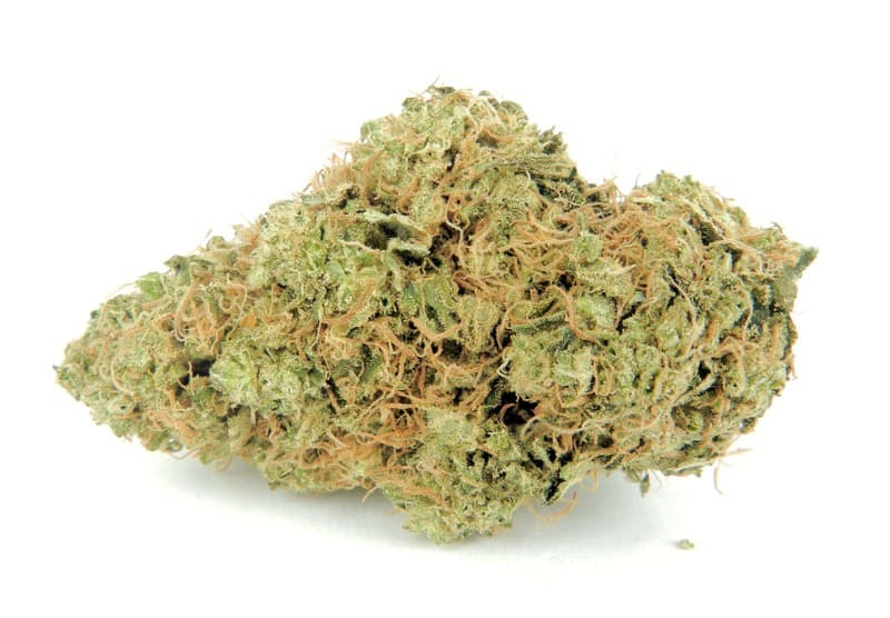 Larry OG cannabis strain, community photo 7