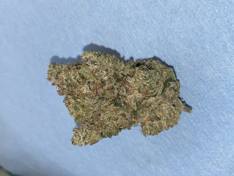 Lava Cake cannabis strain, community photo 1