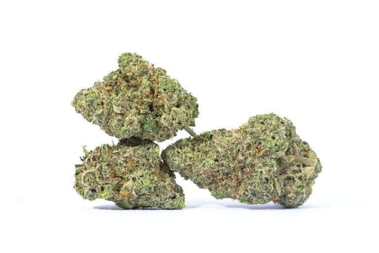 Lava Cake cannabis strain, community photo 2